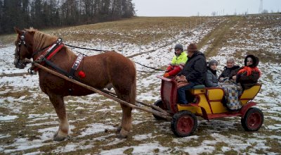 Kulig dla kuracjuszy w 2018 roku