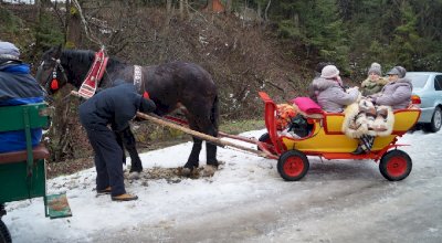 Kulig dla kuracjuszy w 2018 roku