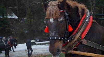 Kulig dla kuracjuszy w 2018 roku