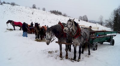 Kulig dla kuracjuszy w 2019 roku