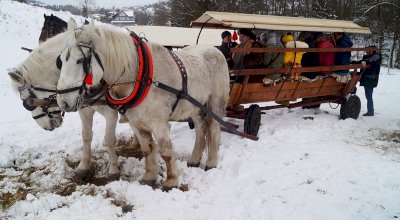 Kulig dla kuracjuszy w 2019 roku