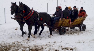 Kulig dla kuracjuszy w 2019 roku