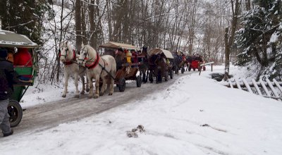 Kulig dla kuracjuszy w 2019 roku