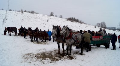 Kulig dla kuracjuszy w 2019 roku