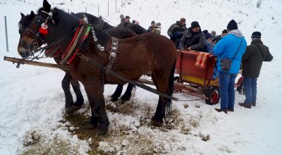 Kulig dla kuracjuszy w 2019 roku