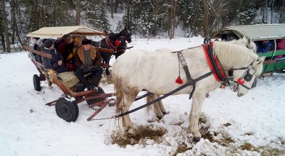 Kulig dla kuracjuszy w 2019 roku