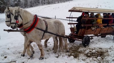 Kulig dla kuracjuszy w 2019 roku