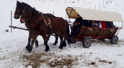 Kulig dla kuracjuszy w 2019 roku