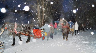 Bożonarodzeniowy kulig 2014 