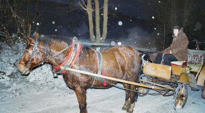 Bożonarodzeniowy kulig 2014 