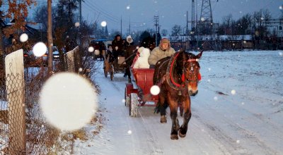 Bożonarodzeniowy kulig 2014 