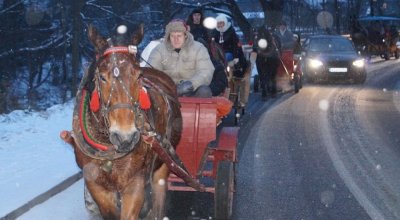 Bożonarodzeniowy kulig 2014 