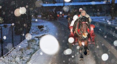 Bożonarodzeniowy kulig 2014 